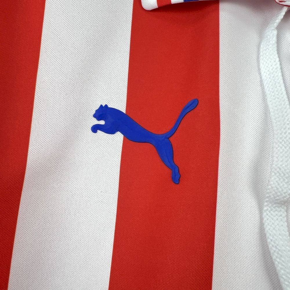 Chivas Local - 110th aniversario