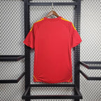 España Local 2010