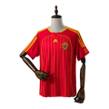 España Local 2006