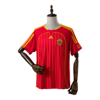España Local 2006