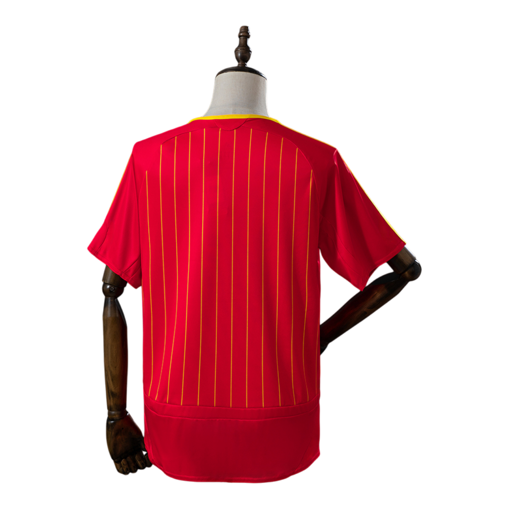 España Local 2006