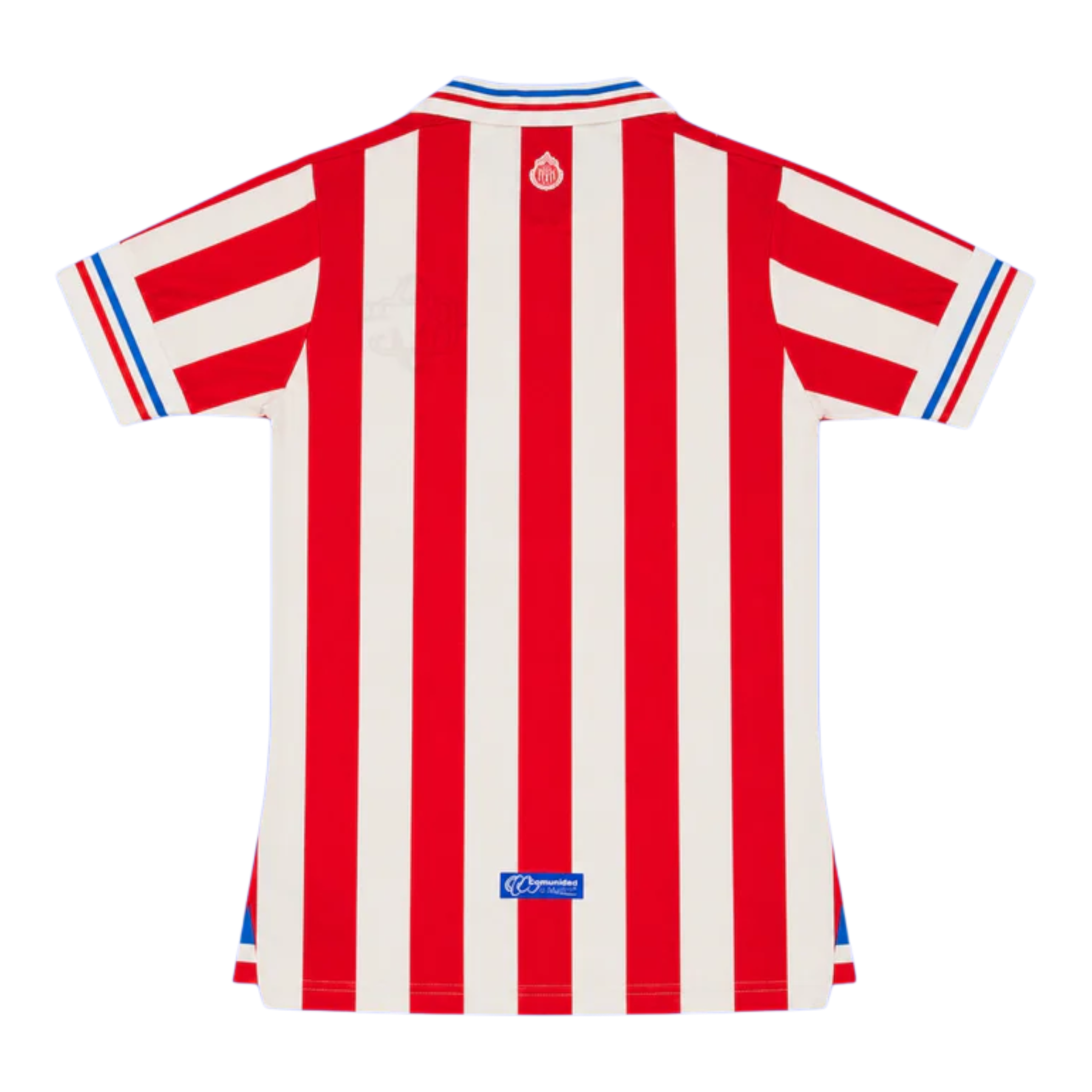 Chivas Local - 110th aniversario